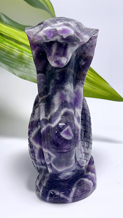 Chevron Amethyst Cobra 796g