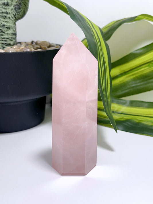 Rose Quartz Point 244g