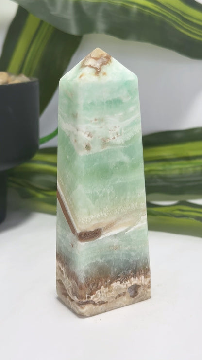 Caribbean Calcite Tower 252g