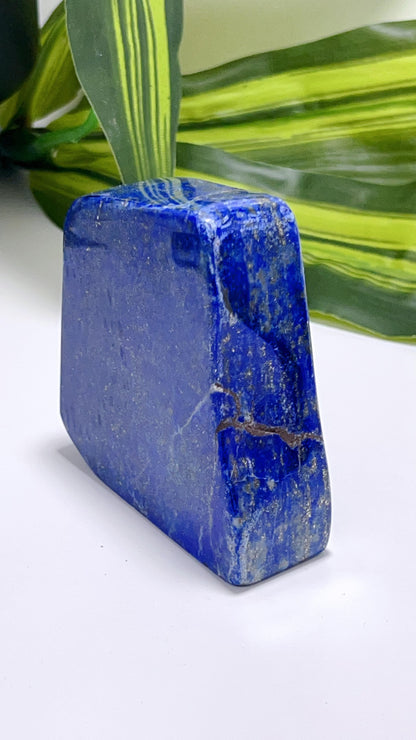 Lapis Lazuli Freeform 392G