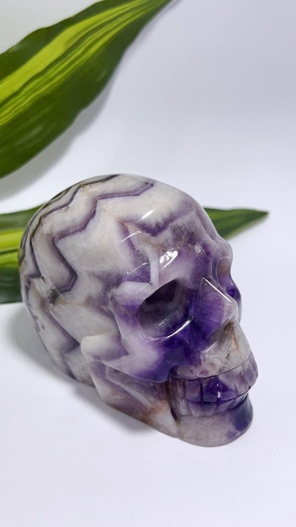 Chevron Amethyst Skull 888g