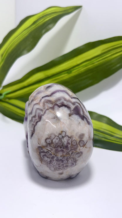 Chevron Amethyst Skull 888g