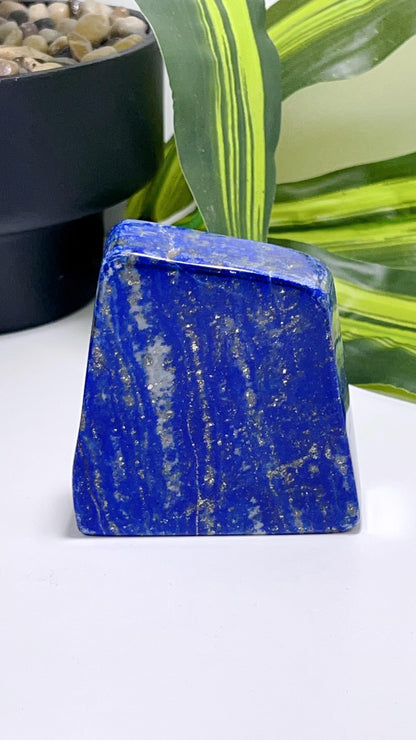 Lapis Lazuli Freeform 392G