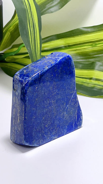 Lapis Lazuli Freeform 392G