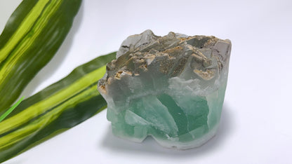 Green Fluorite Skull 790g