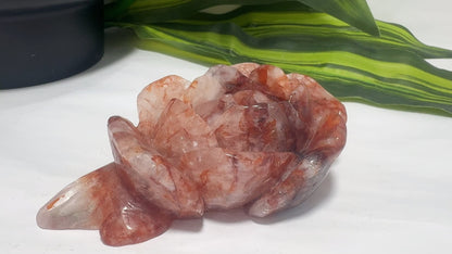 Fire Quartz Rose 284g