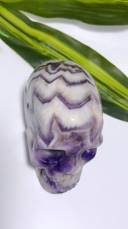 Chevron Amethyst Skull 888g