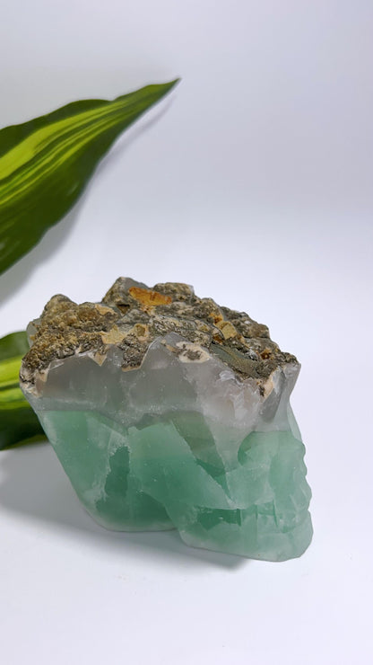 Green Fluorite Skull 790g