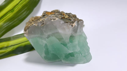 Green Fluorite Skull 790g