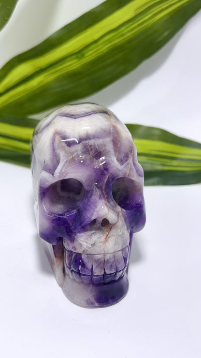 Chevron Amethyst Skull 888g