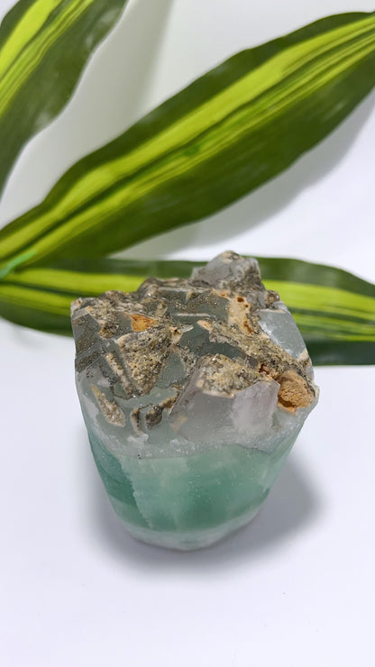 Green Fluorite Skull 790g