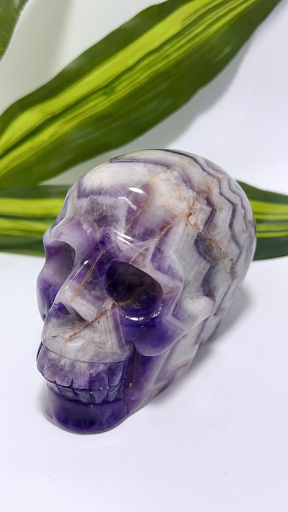 Chevron Amethyst Skull 888g