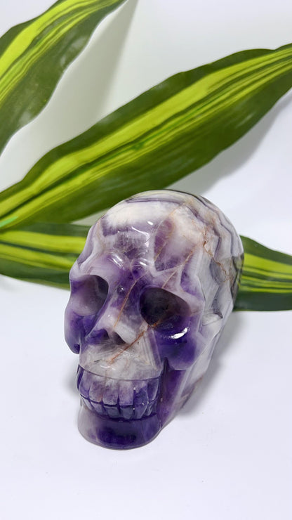 Chevron Amethyst Skull 888g