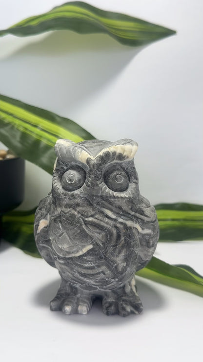 Thousand Eye Jasper Owl 1076g