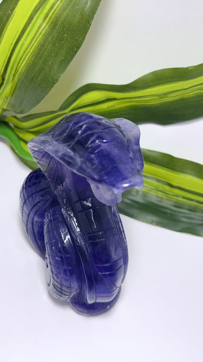 Purple Fluorite Cobra 866g