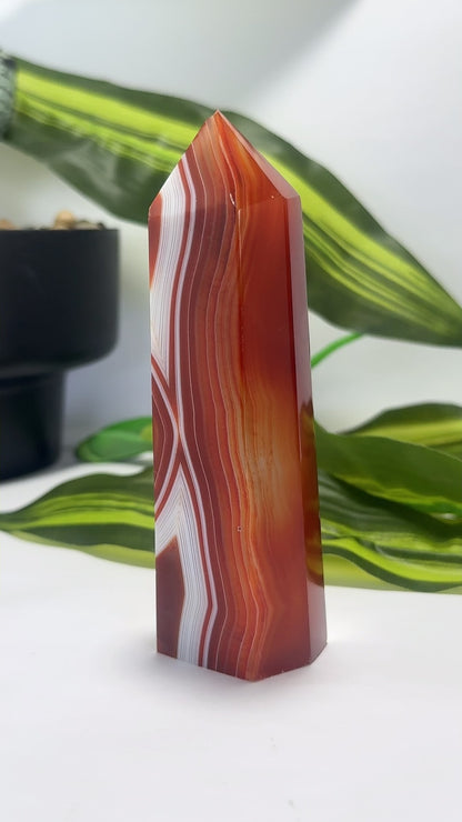 Carnelian Tower 220g