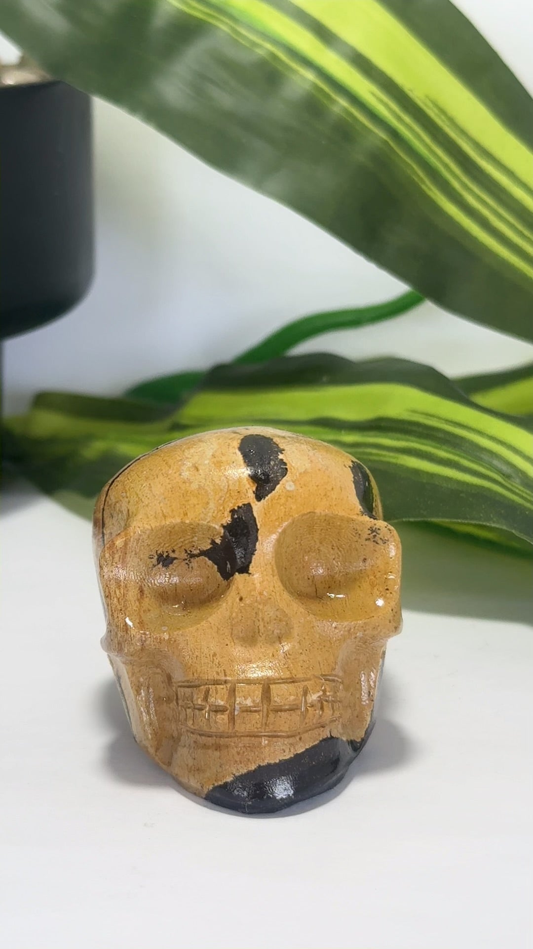 Picture Jasper Skull 212g