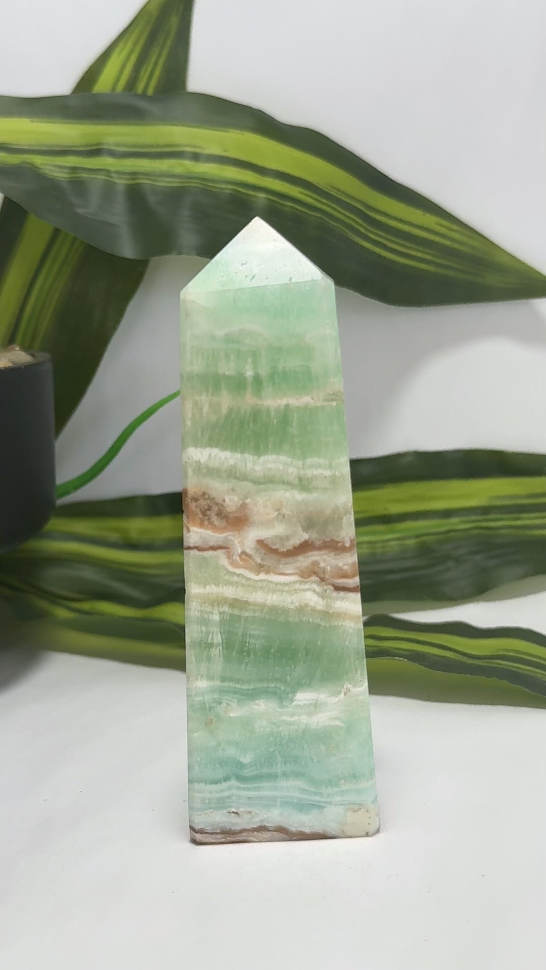 Caribbean Calcite Tower 384g