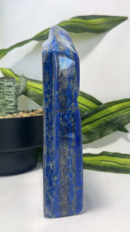 Lapis Lazuli Freeform 2.4kgs