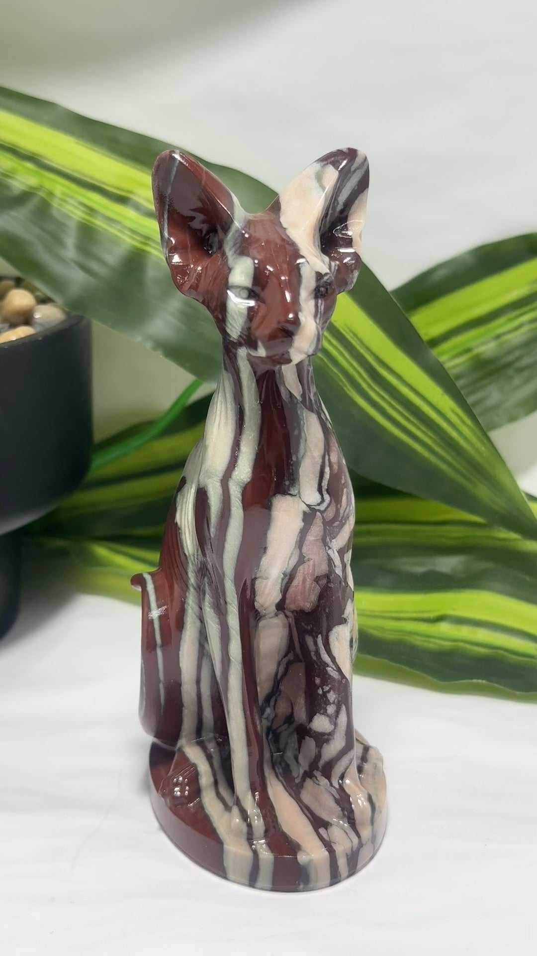 Zebra Jasper Egyptian Cat 518g