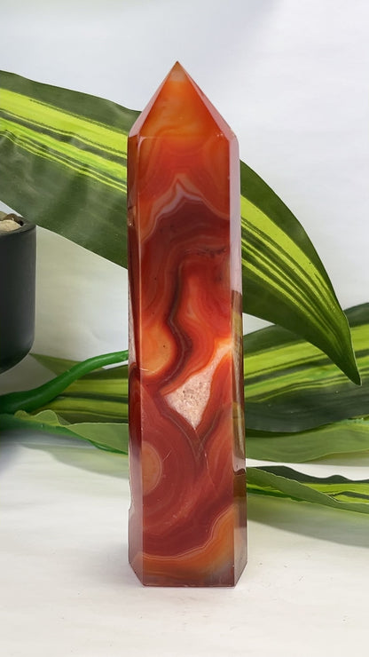 Carnelian Tower 296g