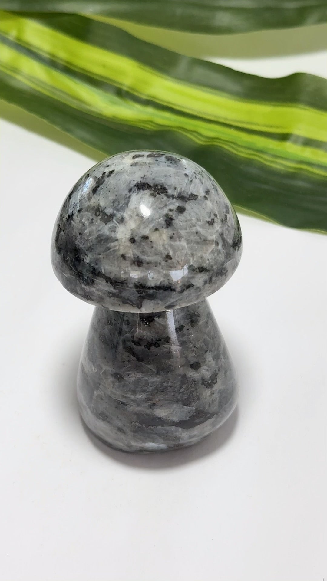 Larvikite Mushroom 212g