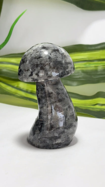 Larvikite Mushroom 212g