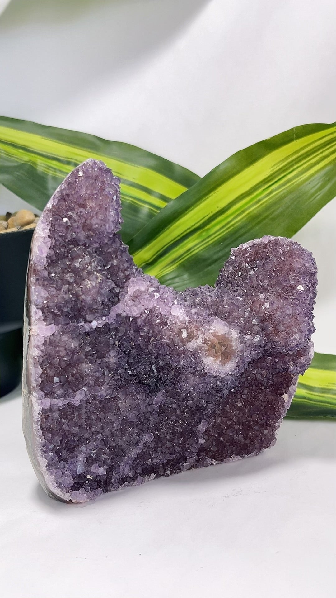 Amethyst Freeform Cluster 1.2kg