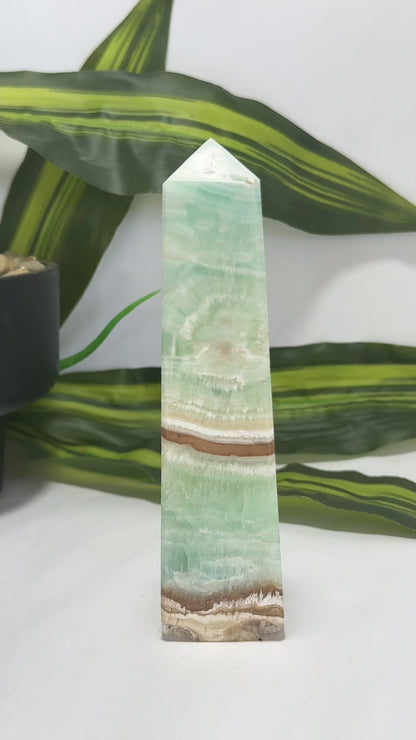 Caribbean Calcite Tower 308g