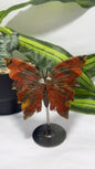 Jasper Butterfly on Stand 150g