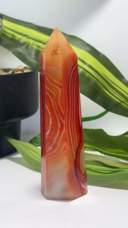 Carnelian Tower 234g