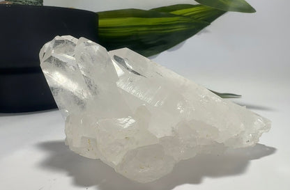 Clear Quartz Cluster 496g