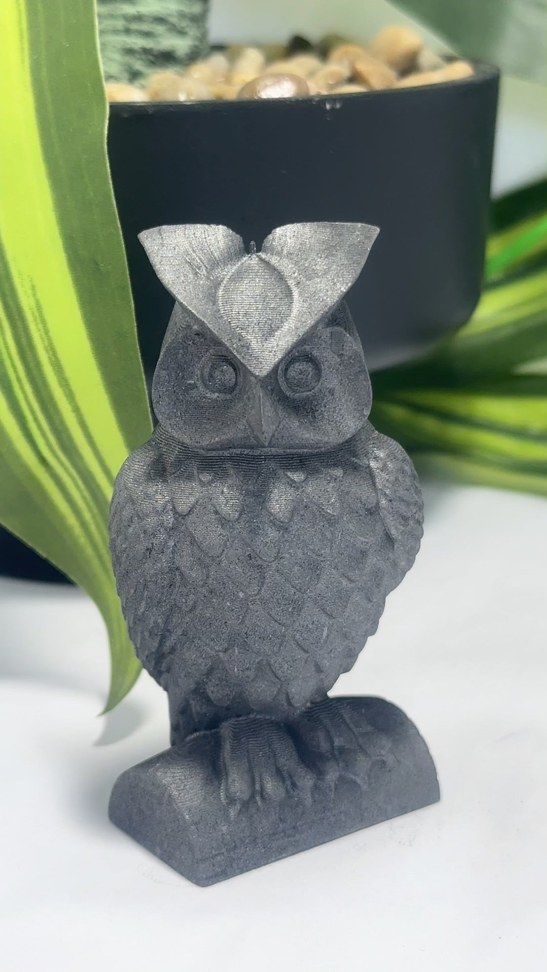 Graphite Owl