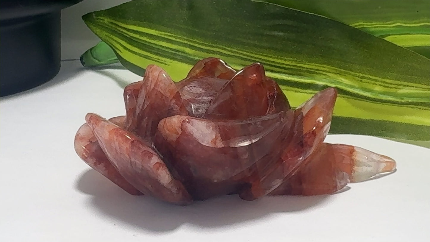 Fire Quartz Rose 328g