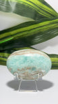 Aragonite Palm Stone 138g