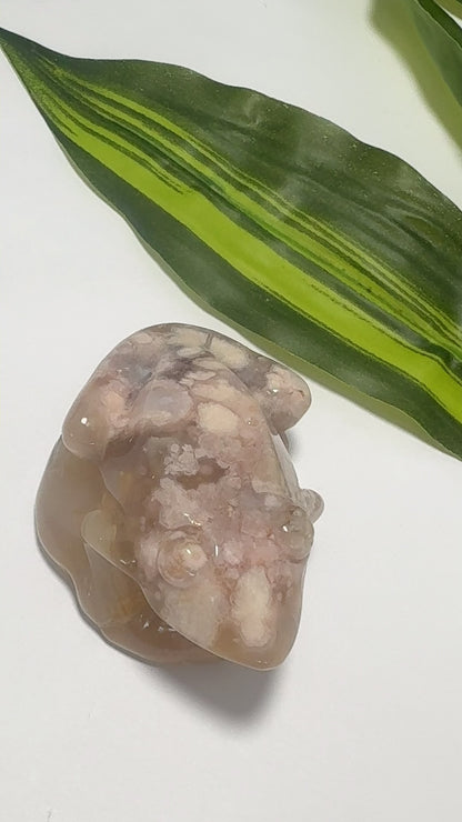 Flower Agate Frog 228g