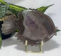 Agate/ Amethyst Fish with Stand 552g