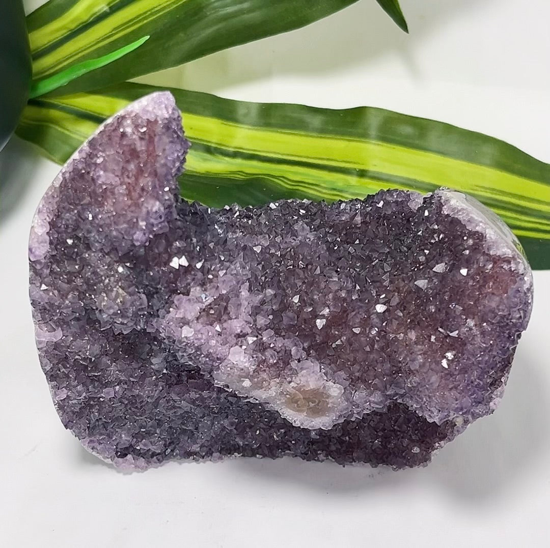 Amethyst Freeform Cluster 1.2kg