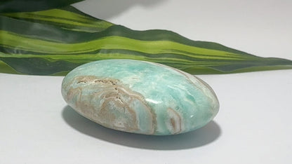 Aragonite Palm Stone 138g