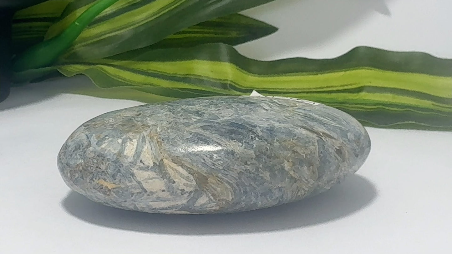 Kyanite Palm Stone 230g