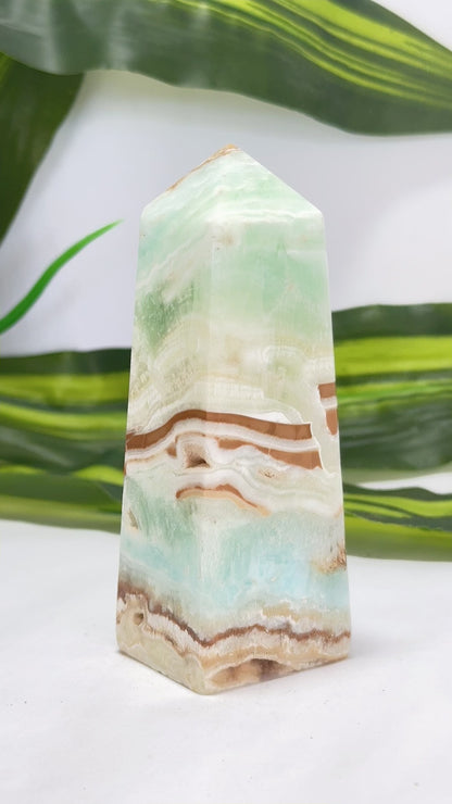 Caribbean Calcite Tower 281g