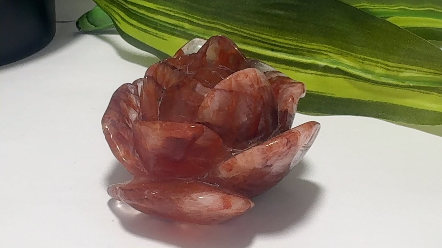 Fire Quartz Rose 328g