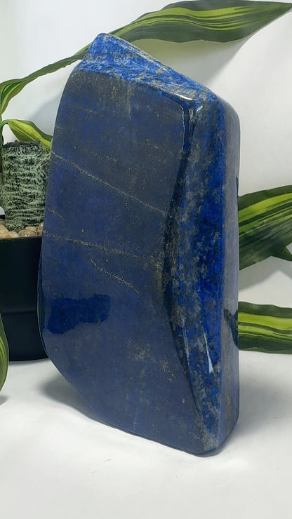 Lapis Lazuli Freeform 2.4kgs