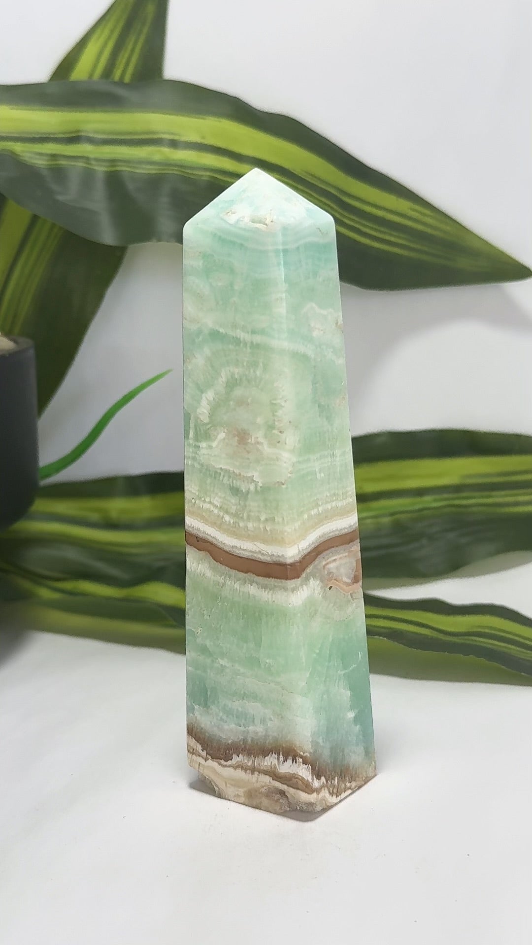 Caribbean Calcite Tower 308g