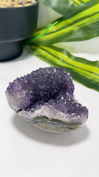 Amethyst Cluster Freeform 496g