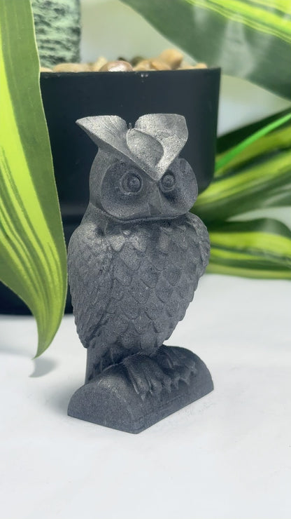 Graphite Owl