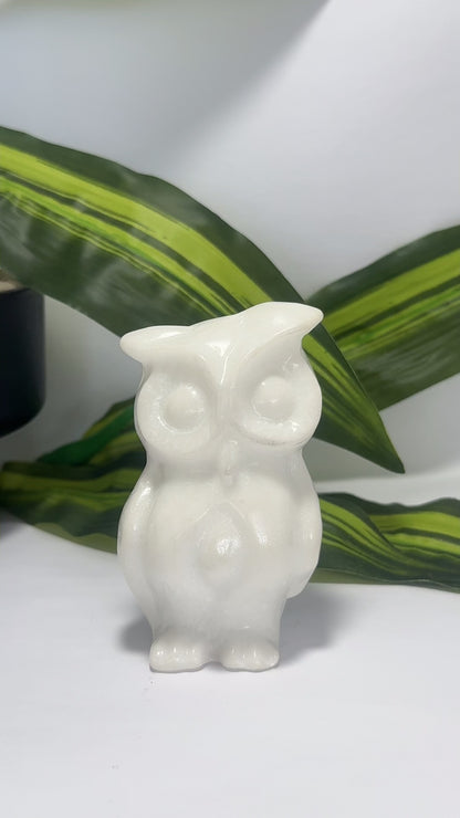 White Jade Owl 414g