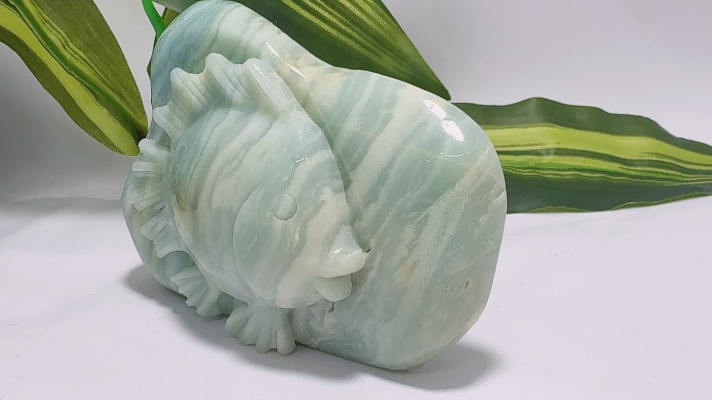 Amazonite Fish Carving 506g