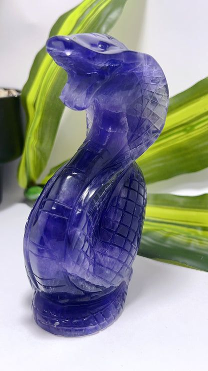 Purple Fluorite Cobra 866g