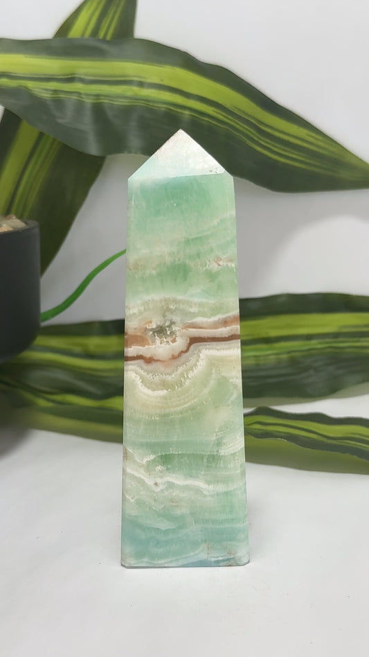 Caribbean Calcite Tower 384g